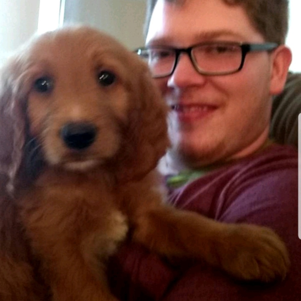 Meet your Posher, Sasha